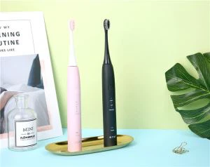 Elektrischer Zahnbürstenhalter